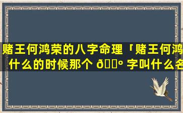 赌王何鸿荣的八字命理「赌王何鸿什么的时候那个 🌺 字叫什么名」